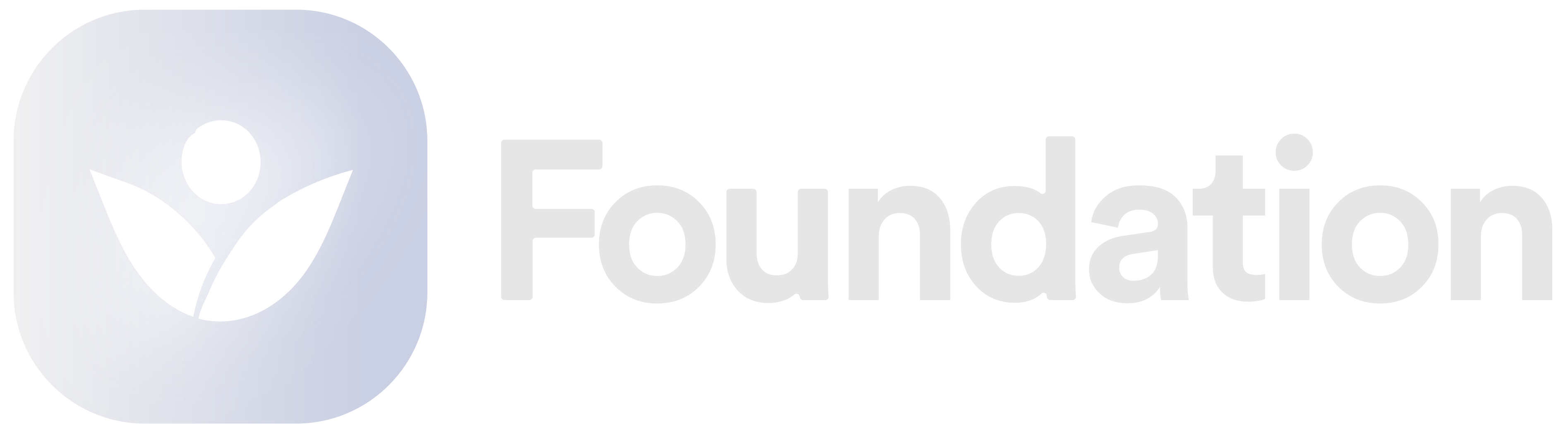 Foundation